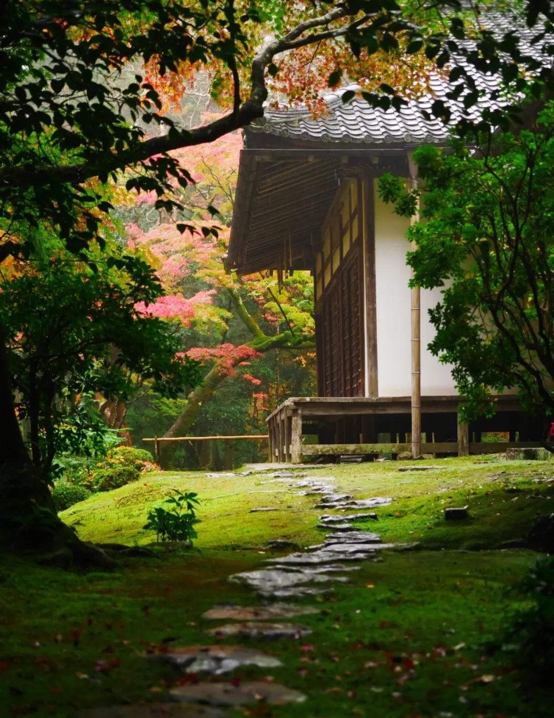 梦窗疏石·禅庭闲寂丨日本-71