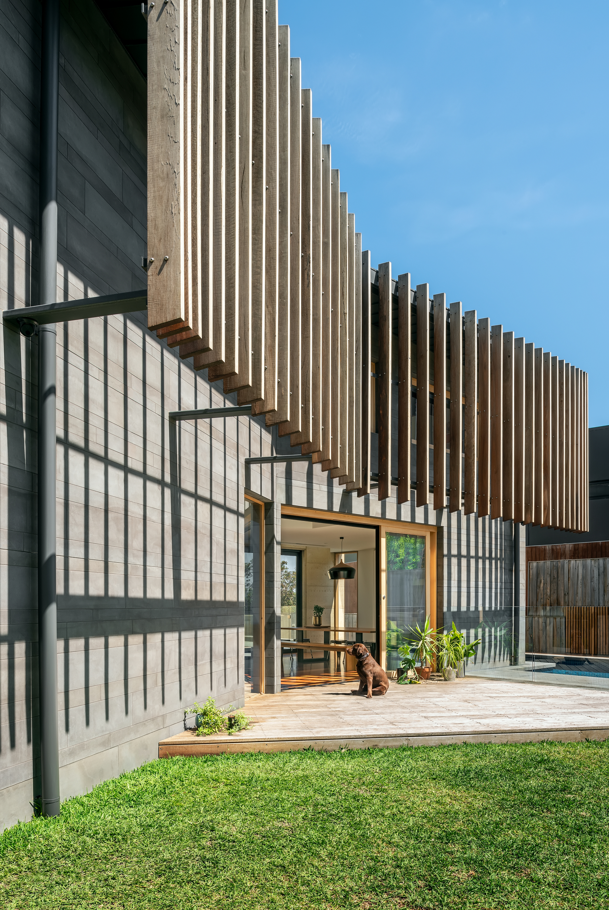 林荫大道住宅丨澳大利亚墨尔本丨Green Sheep Collective-26