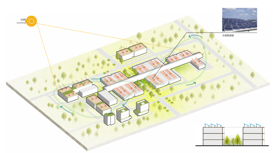 亚泰赋能阳春农业产业链升级：阳春冷链物流园筑就大湾区农产品流通新枢纽~-66