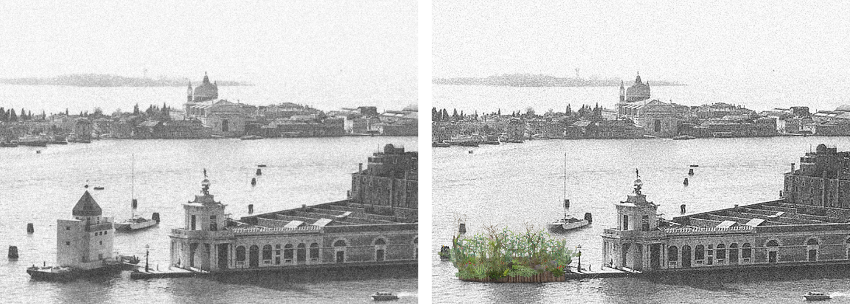 第 19 届威尼斯国际建筑双年展：墨西哥馆，探索古老农业系统的生态潜力-40