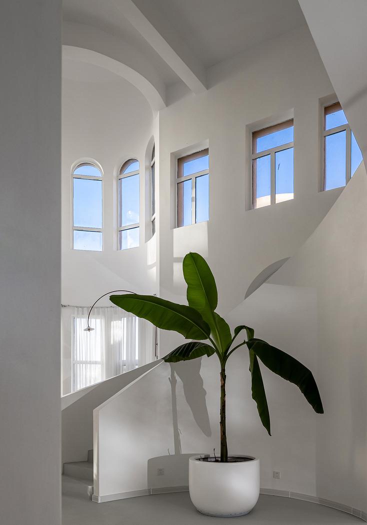 秦岭背影下的白日梦想家-40