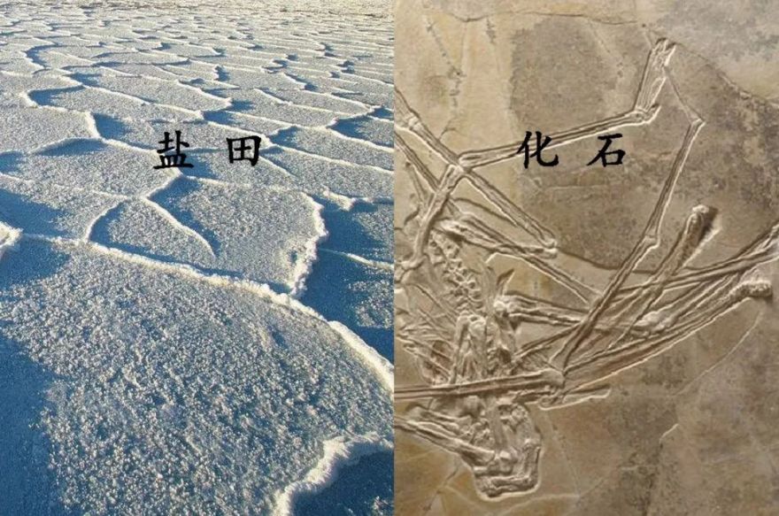 盐运九曲,八里秦淮 | 绿地西南 • 自贡-66