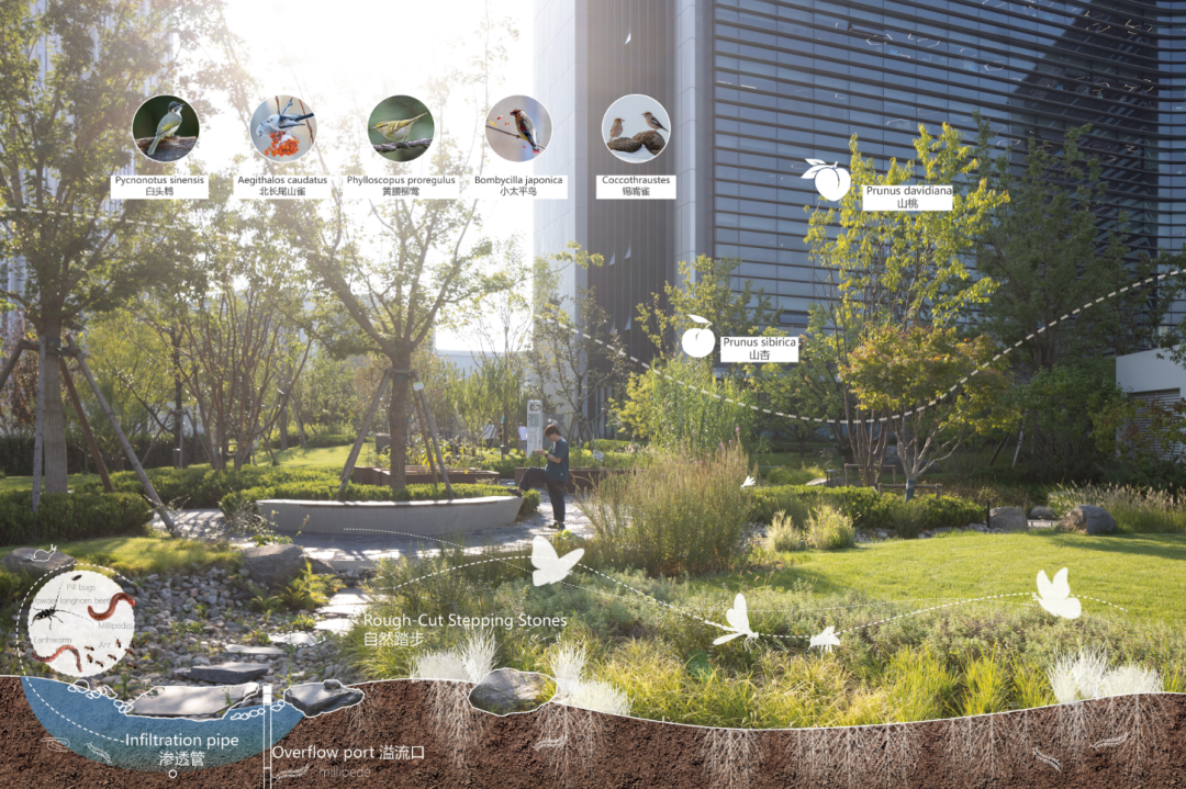 阿里巴巴北京朝阳科技园景观设计丨中国北京丨阿普贝思UP+S-76