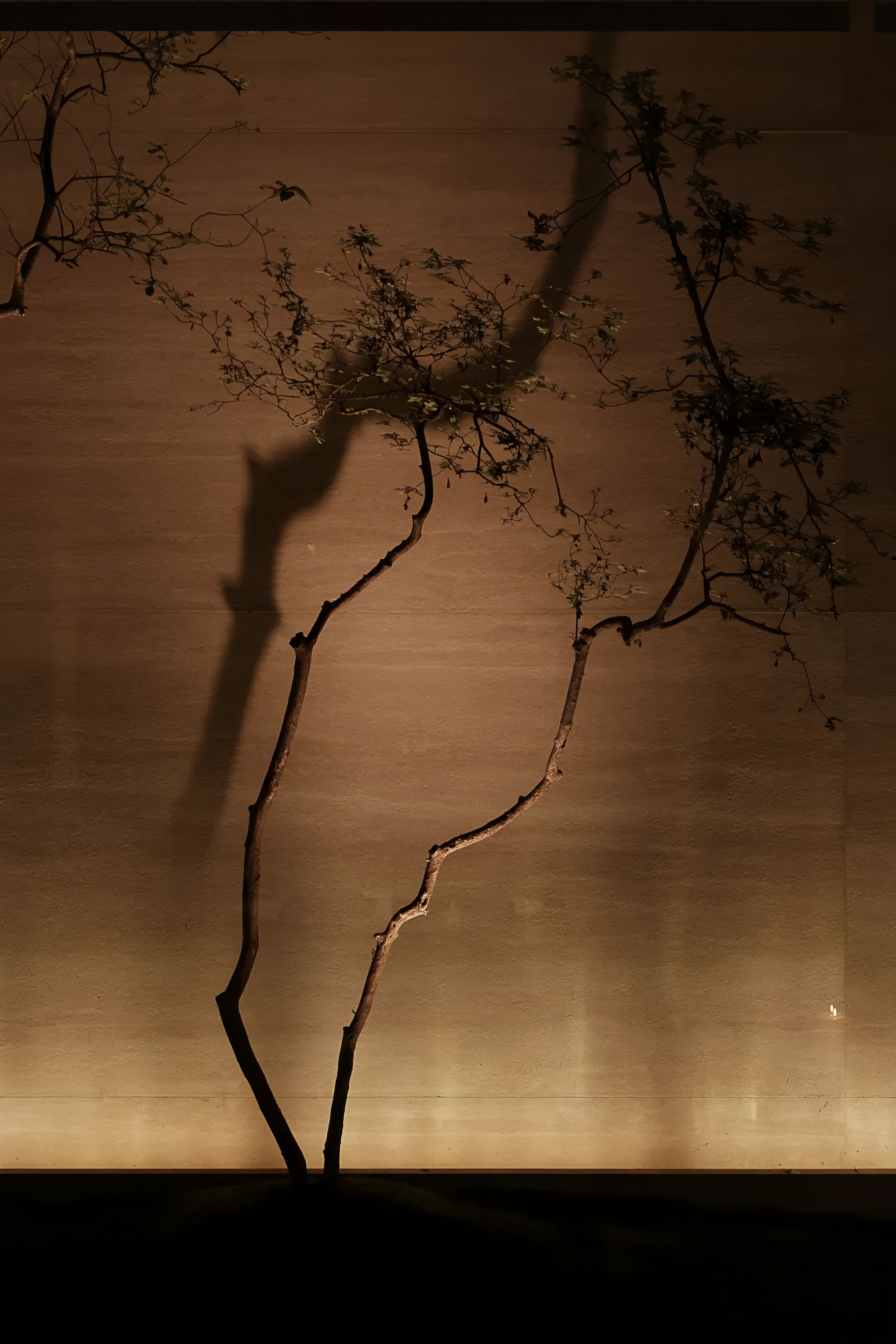 光吟静室简序生长丨中国重庆丨重庆悦空间设计-12