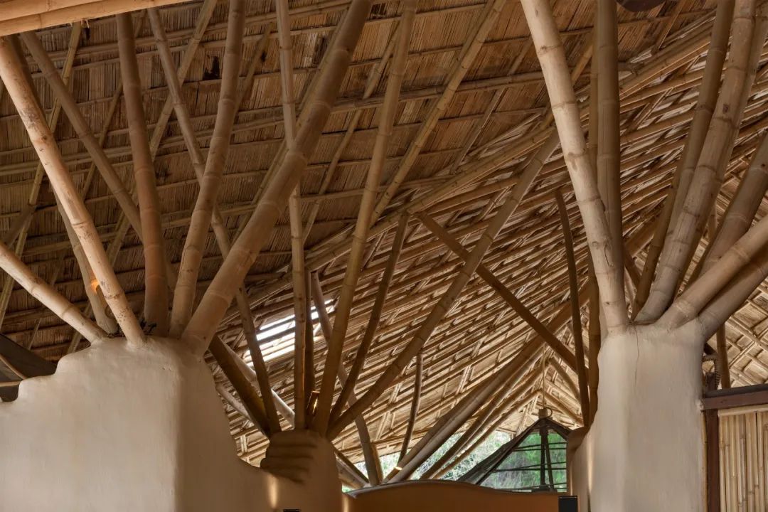 现代茅草建筑 | 传统工艺的当代新生-78