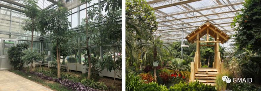 西安沣东农博园提升项目 | 绿色雕塑与现代农业的完美融合-22