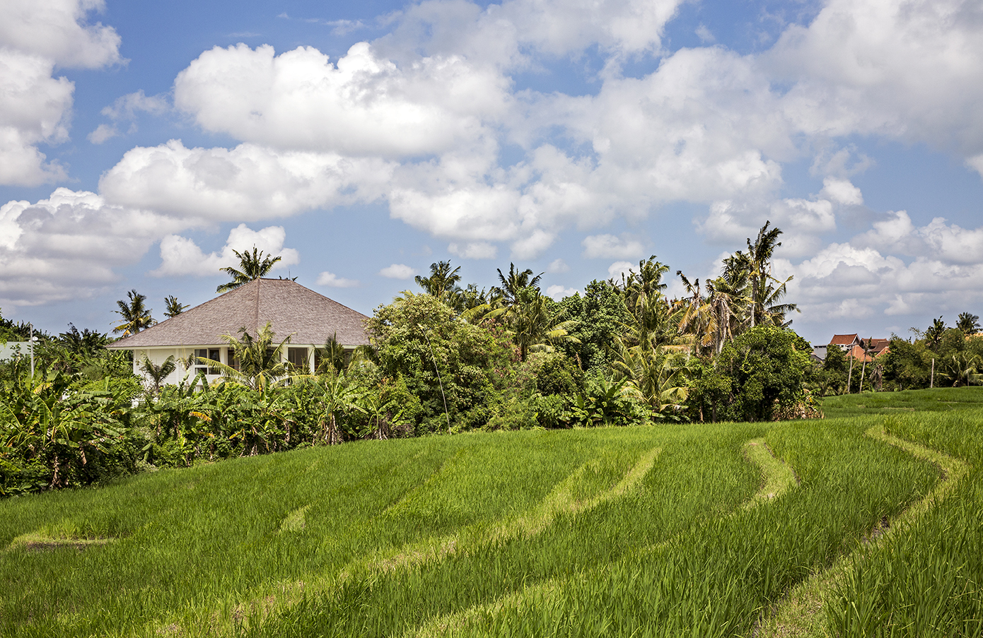 BALI VILLA Stefano Dorata-1