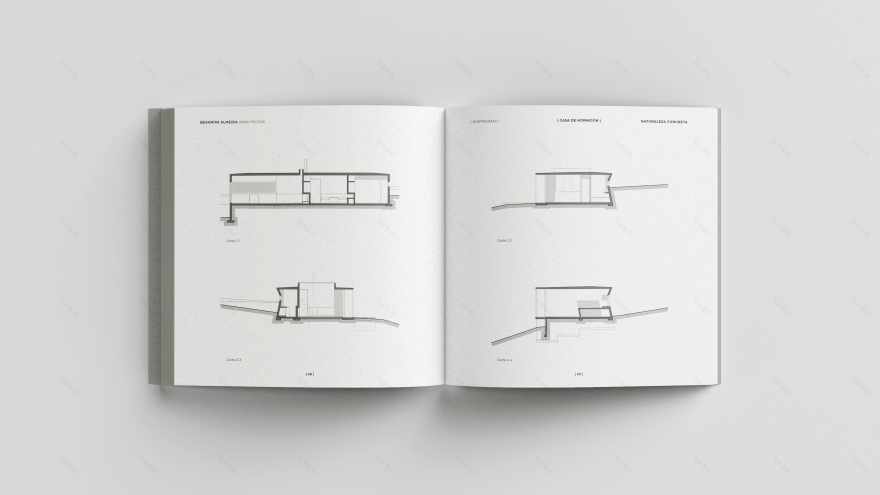 具体自然丨阿根廷-21