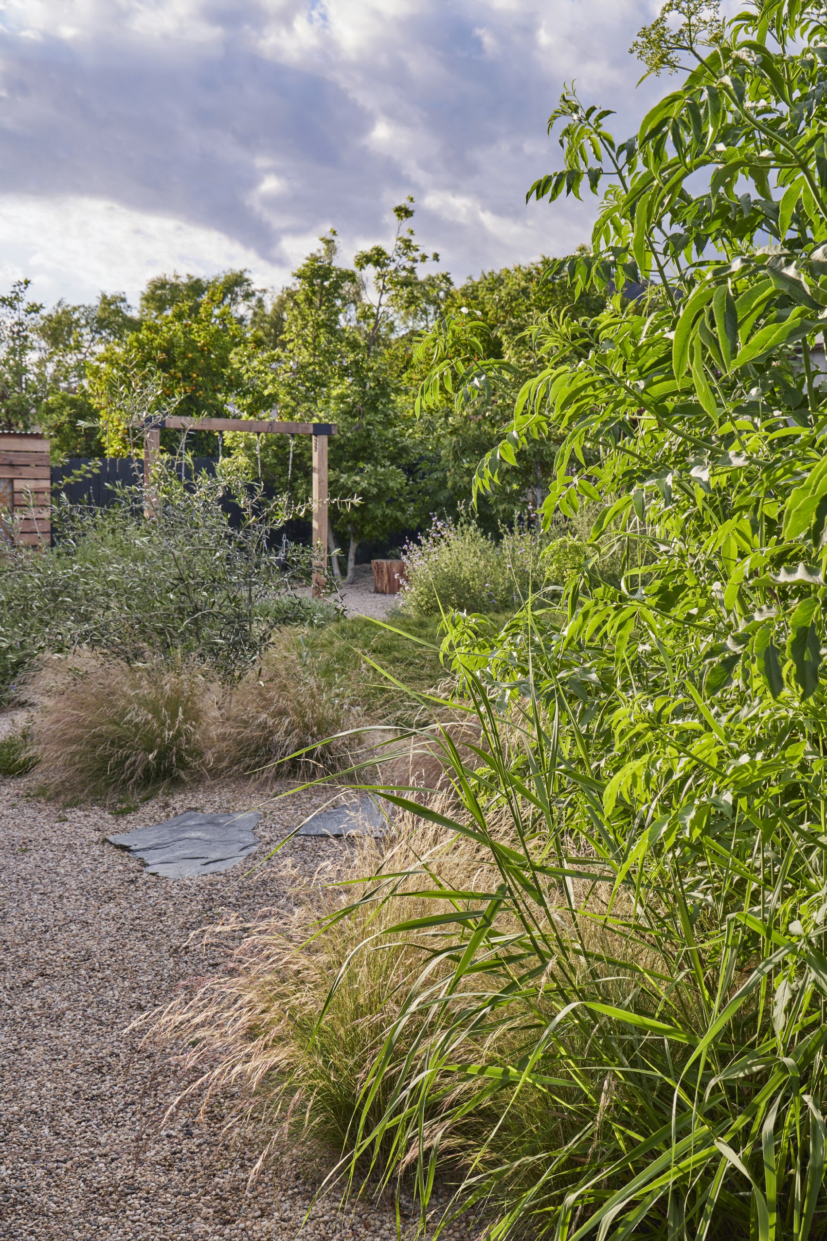 用时间酝酿，为孩子们创造的野趣花园丨美国丨TERREMOTO-21