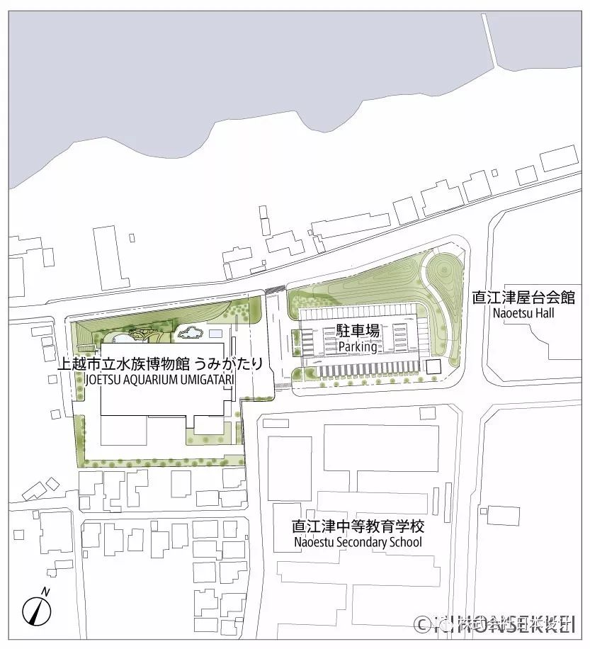 上越市立水族博物馆 | 沉浸式体验日本海的壮美海景-16