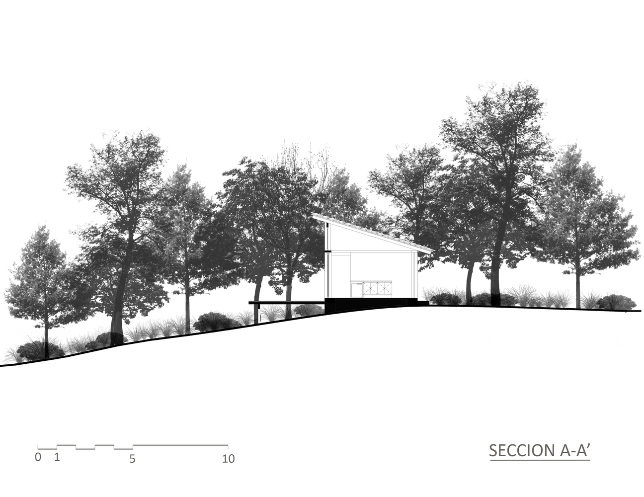 墨西哥 luciennaga 住宅丨莫罗·塔勒·德阿奎特拉,uno más uno-38