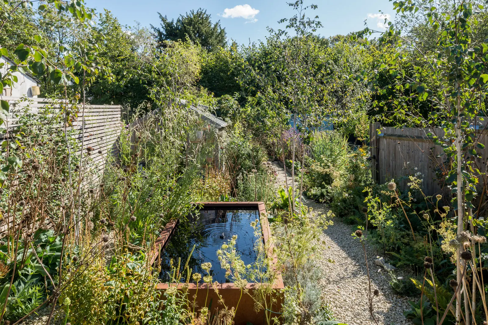 伦敦附近维多利亚式住宅的现代改造-19