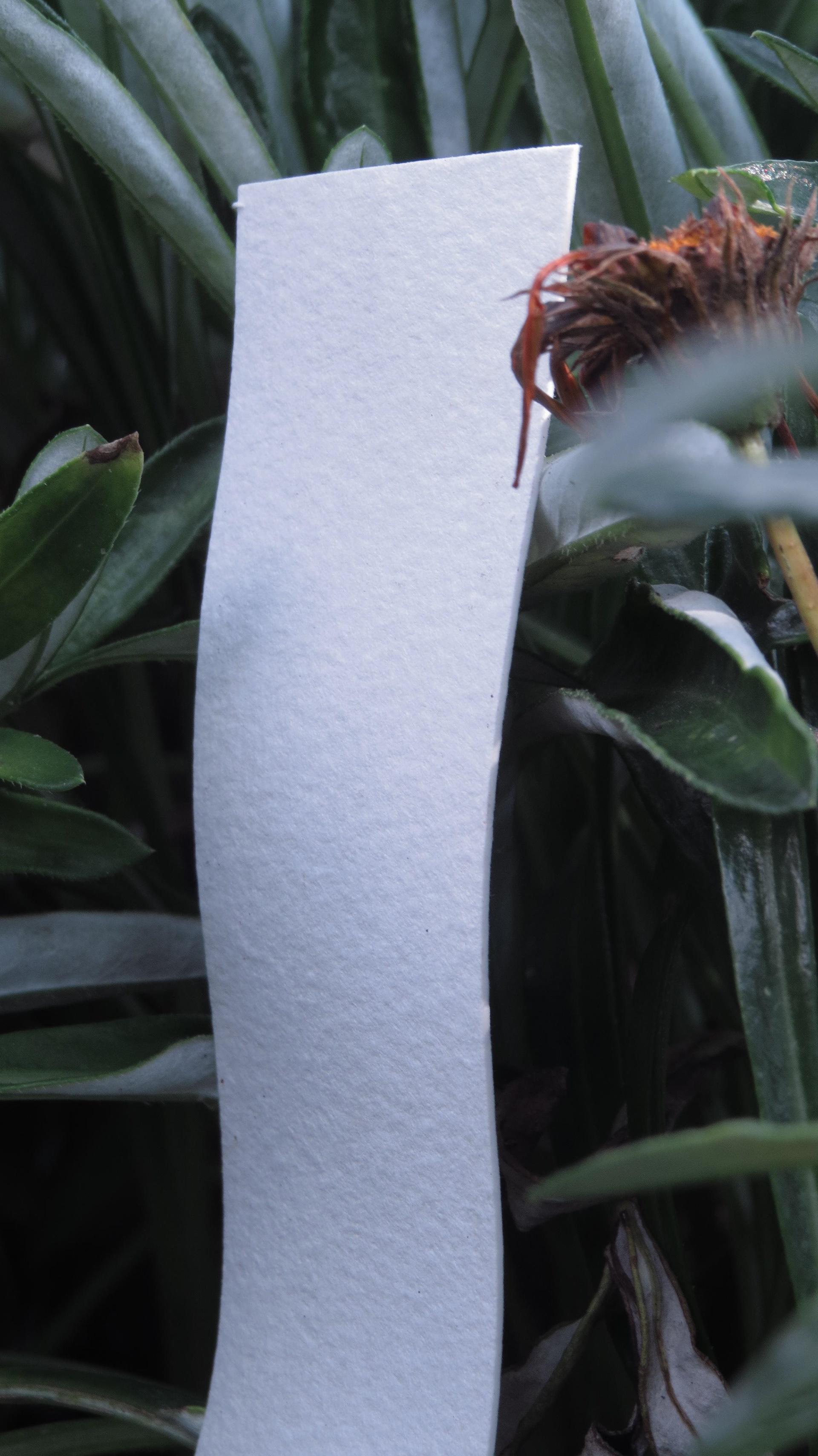 自然元素空间设计-3