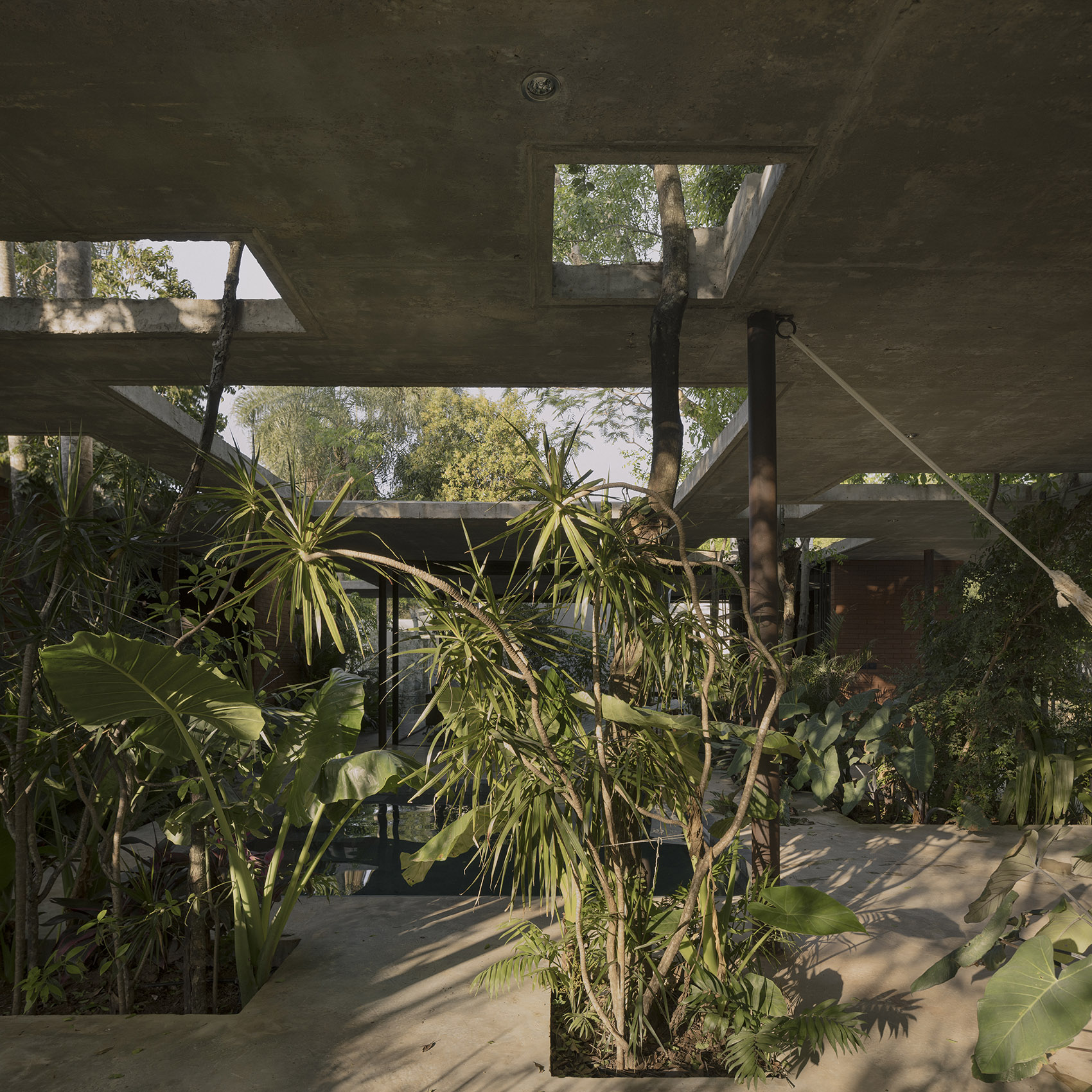 屋中森林丨巴拉圭丨Equipo de Arquitectura-98