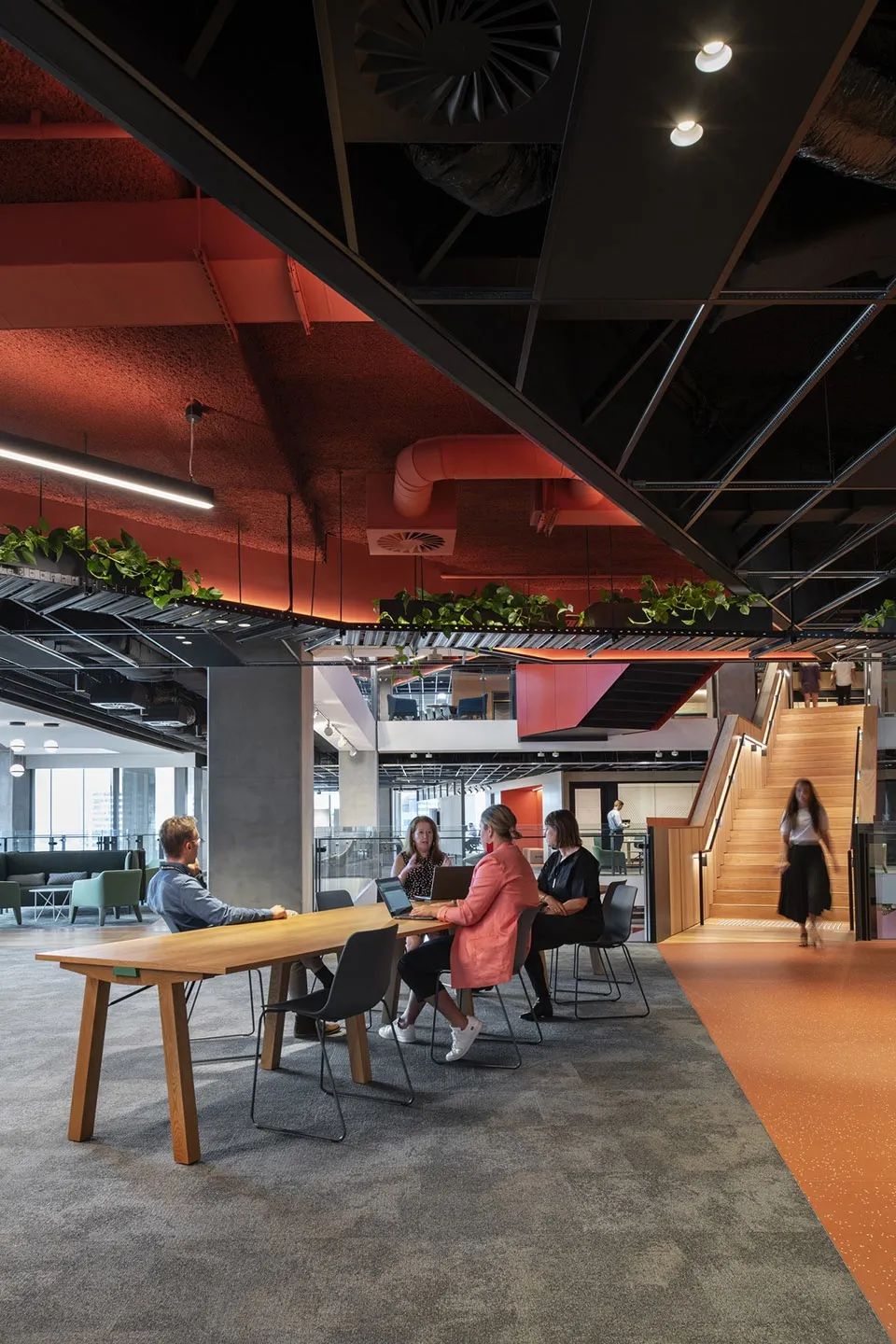 悉尼红梯 · 澳大利亚国民银行双生办公空间丨澳大利亚悉尼丨伍兹贝格-22