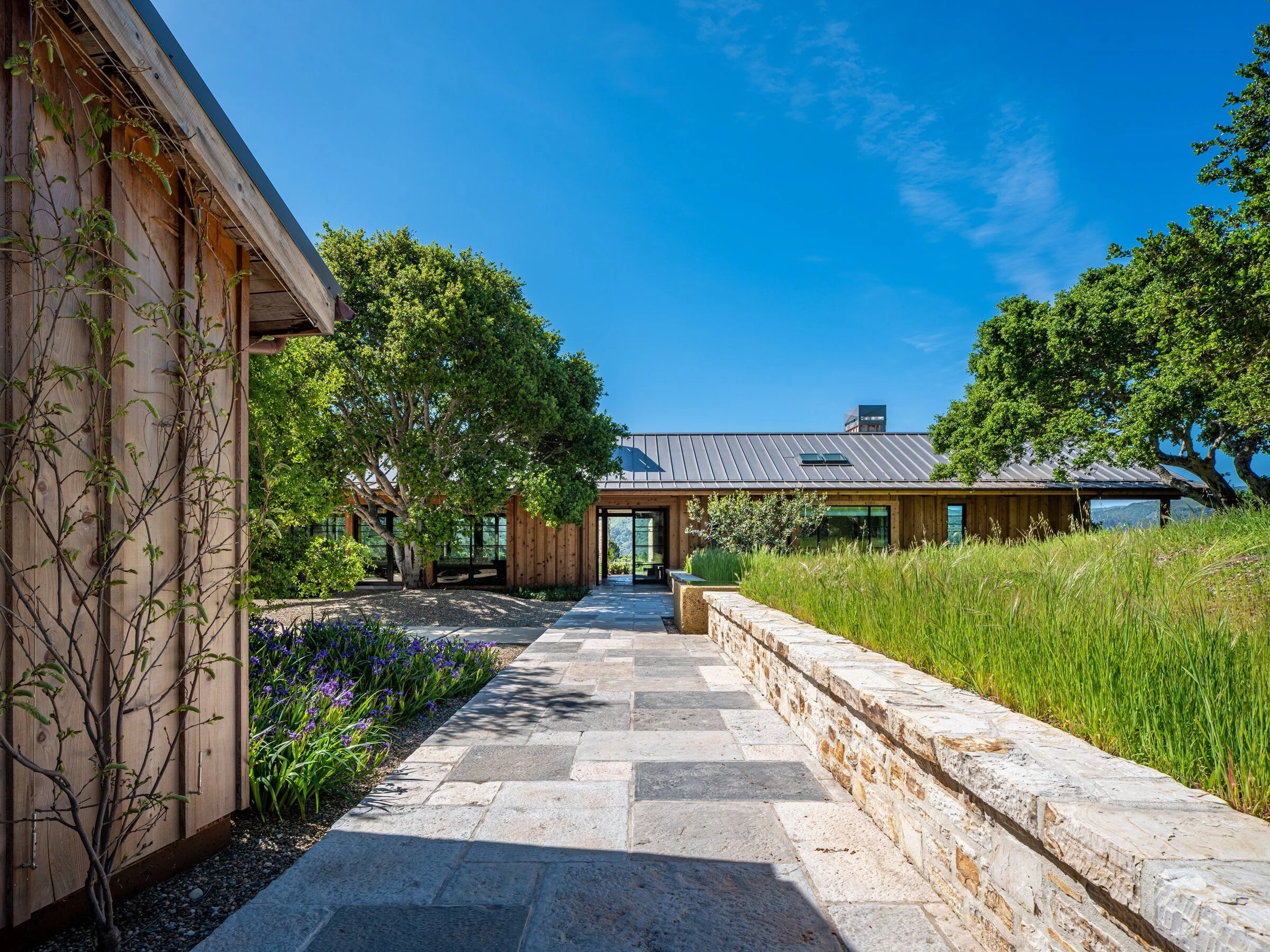 加州卡梅尔谷地零能耗现代别墅-7