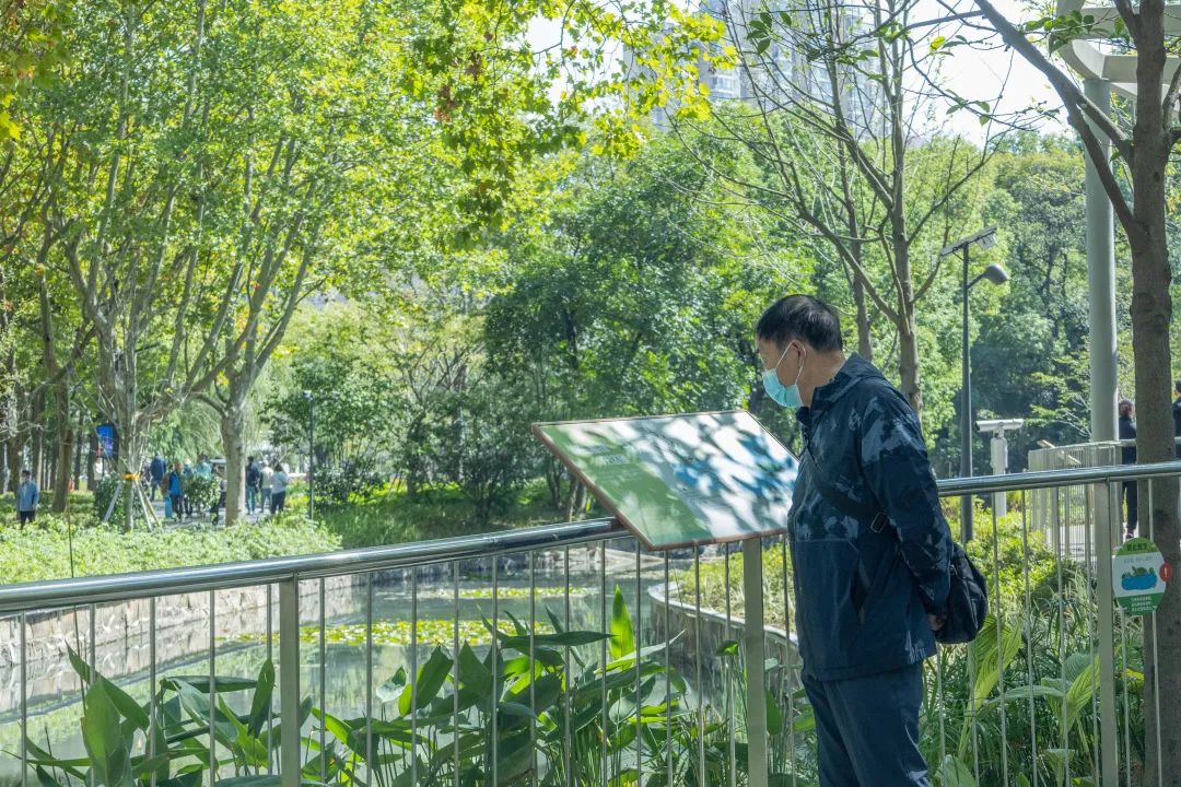 案例 | 上海首个在公园中的自然中心——和平公园自然中心-106