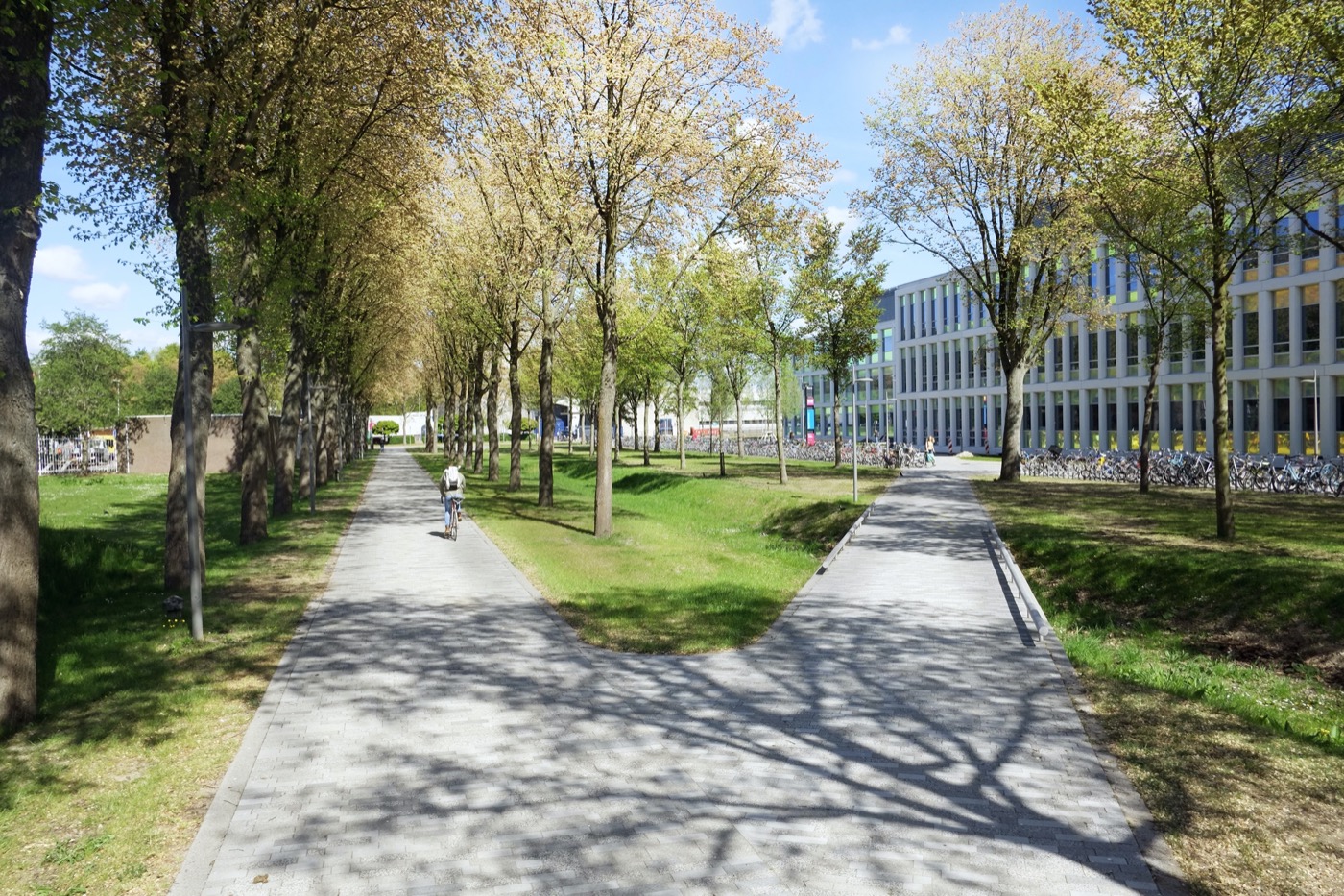 荷兰代尔夫特理工大学校园共享空间·克鲁伊夫公园丨Karres en Brands-12