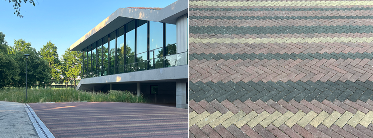 Natte natuurtuin Omnia（Omnia湿地自然花园）丨Broekbakema-8