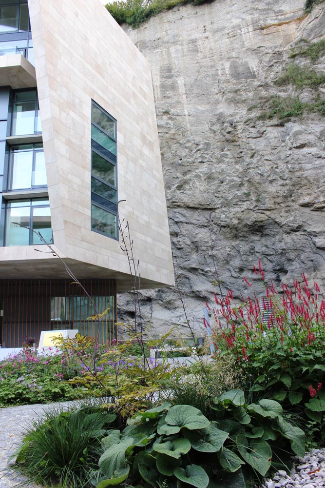 岩石中的城市绿洲-8