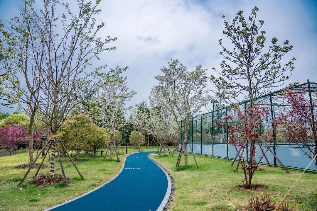 上海松江方松体育公园-55