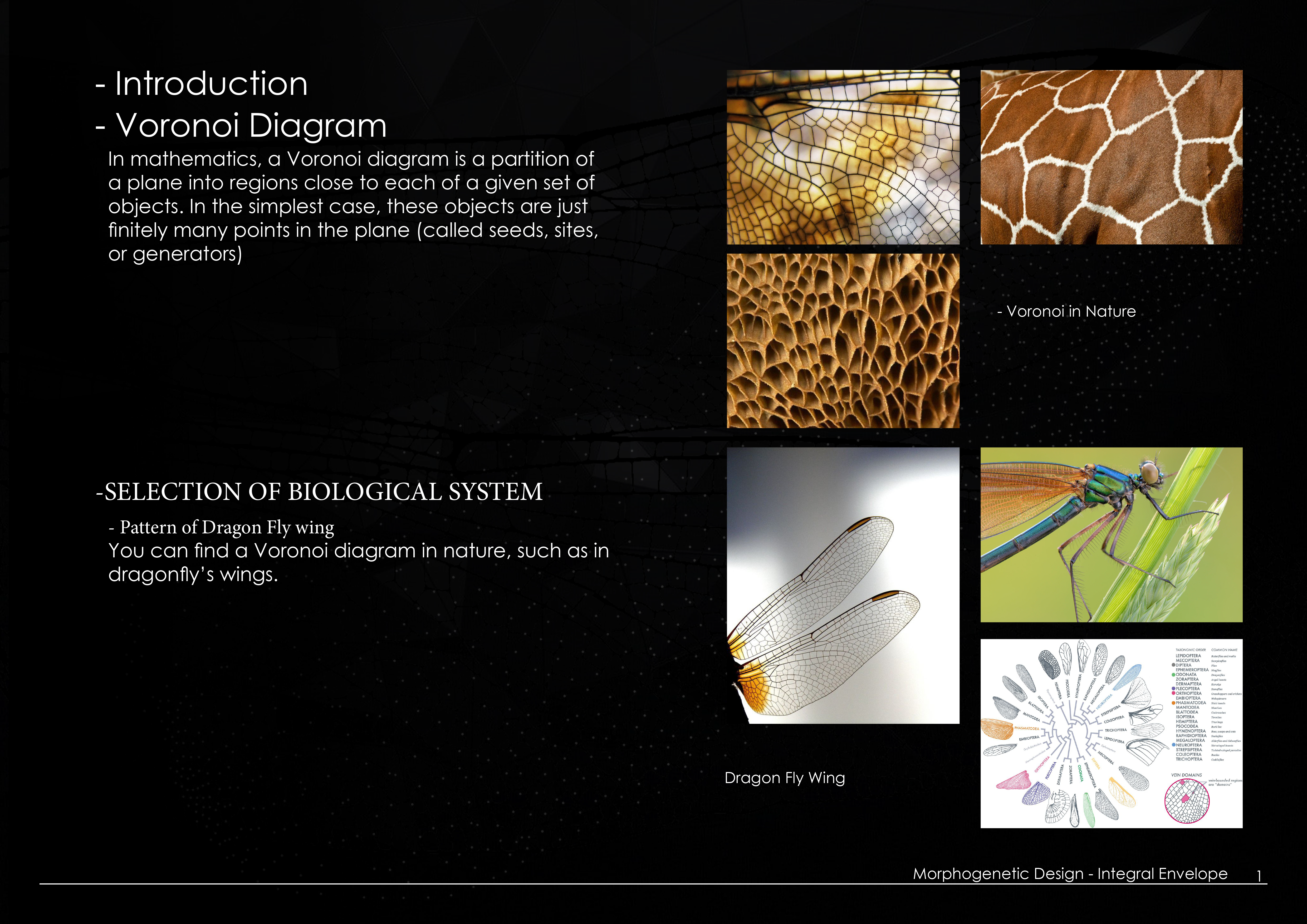 Morphogenetic Design - Integral Envelope July 2020-4