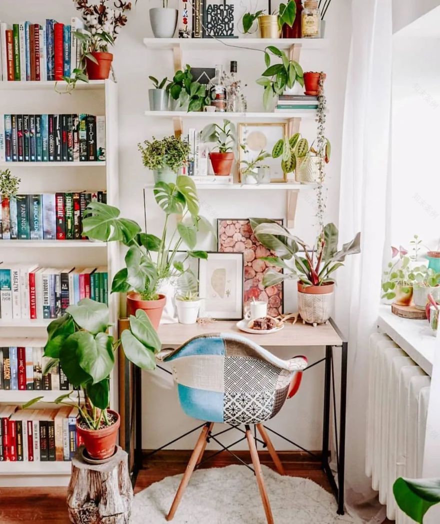 绿植搭配家居,打造夏日清凉空间-43