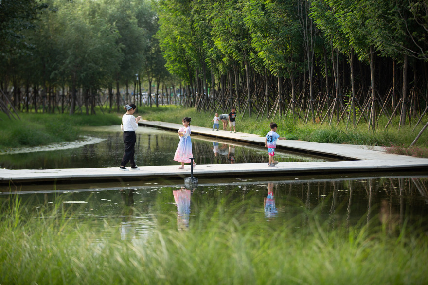 周口淮阳伏羲文化公园丨中国周口丨土人设计-59