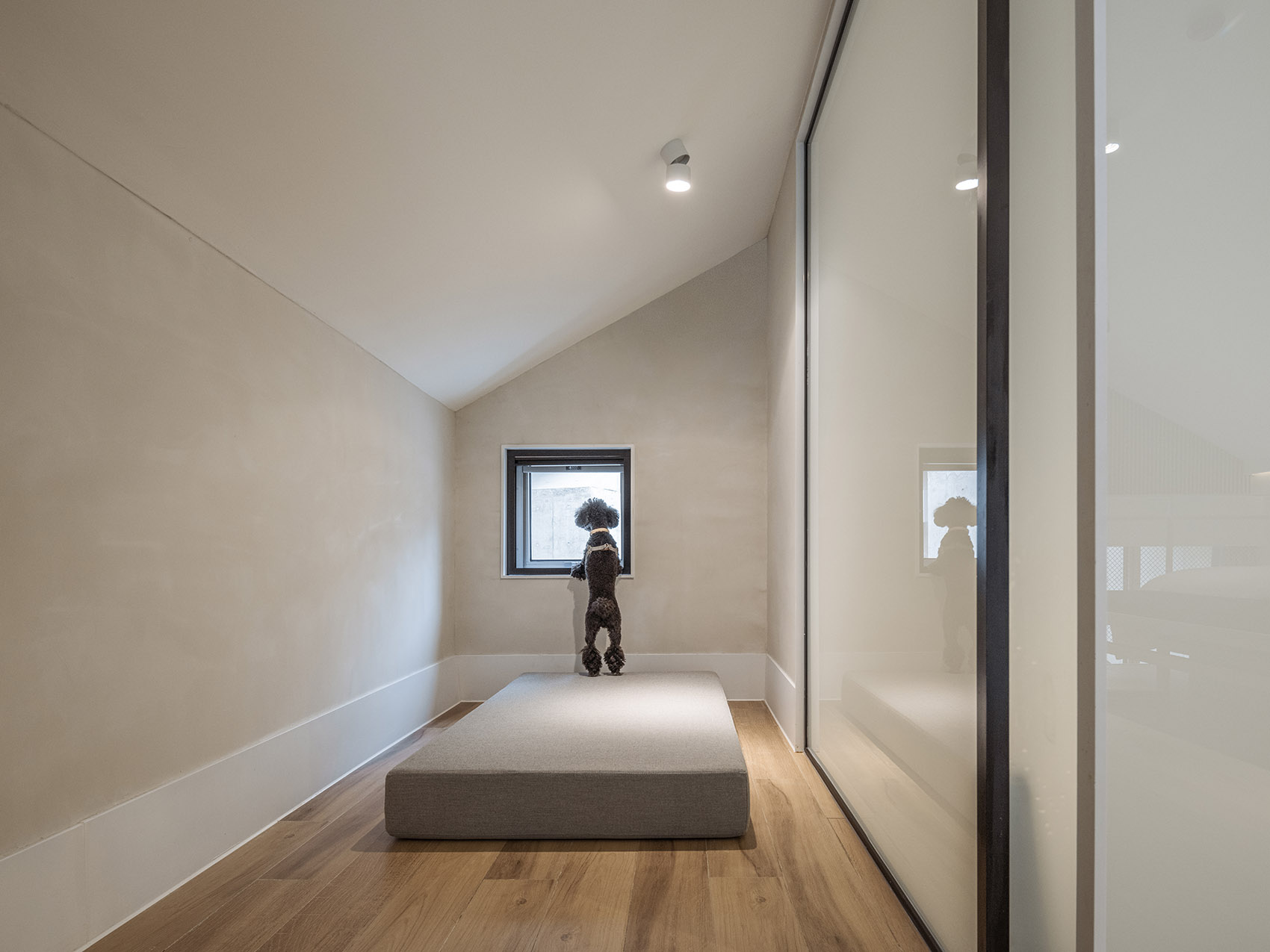 秦皇岛阿那亚犬舍丨中国河北丨直向建筑-237