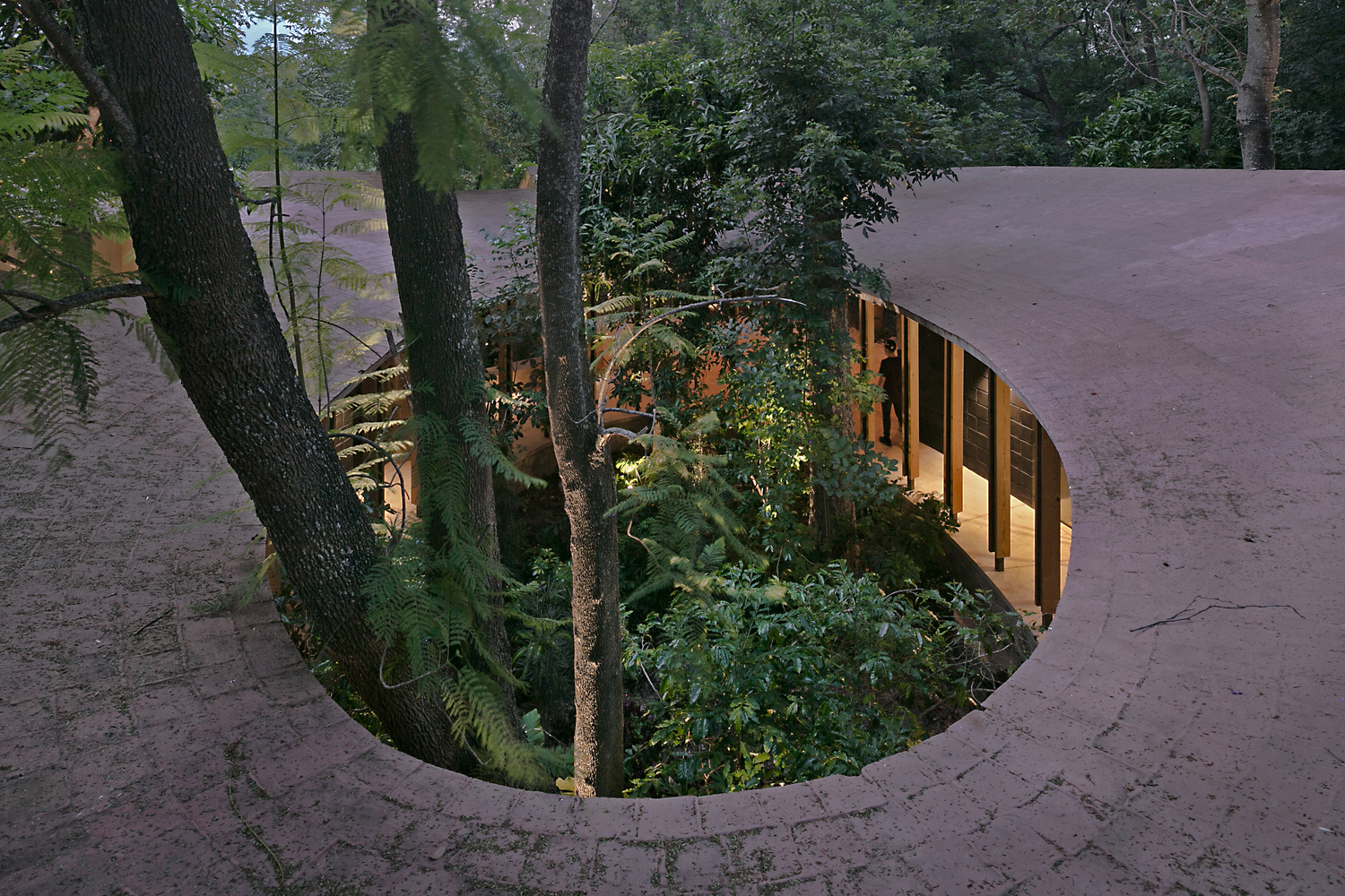 Amacueca House  CoA arquitectura + Departamento de Arquitectura-29