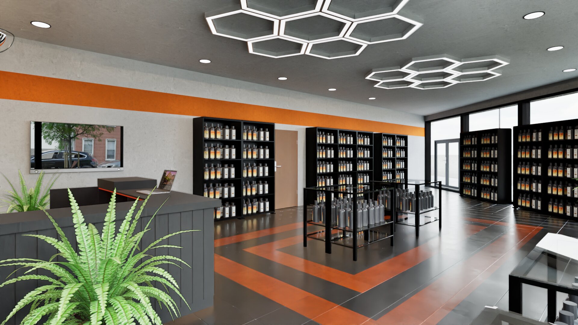 Tienda Apexx Valencia-3