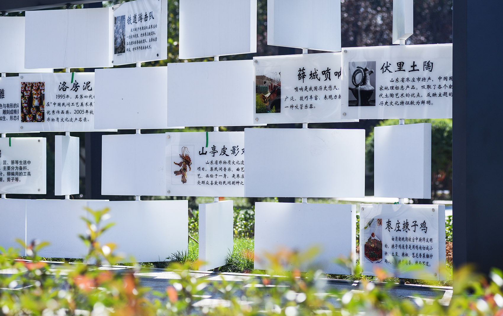 山东枣庄科创绿廊（一期）丨中国枣庄丨同圆集团景观院-39