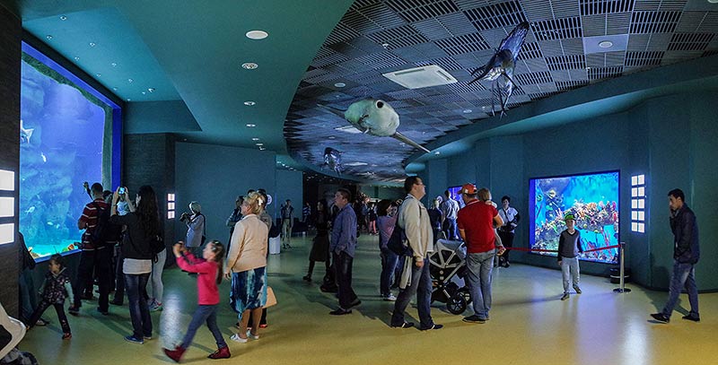 “Moskvarium”海洋馆丨俄罗斯莫斯科丨Aqua Logo Engineering-138