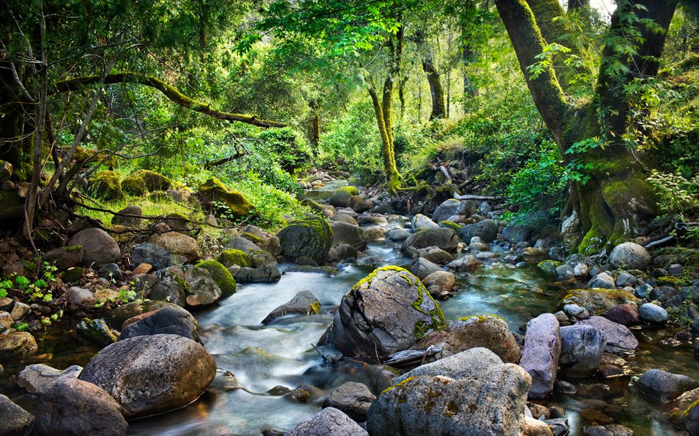 纳帕谷 Calistoga Ranch 度假村丨JCA 团队-6