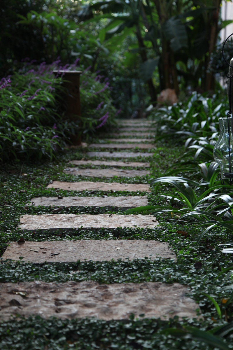 昆明滇池高尔夫别墅·禅·对话丨中国昆明-20