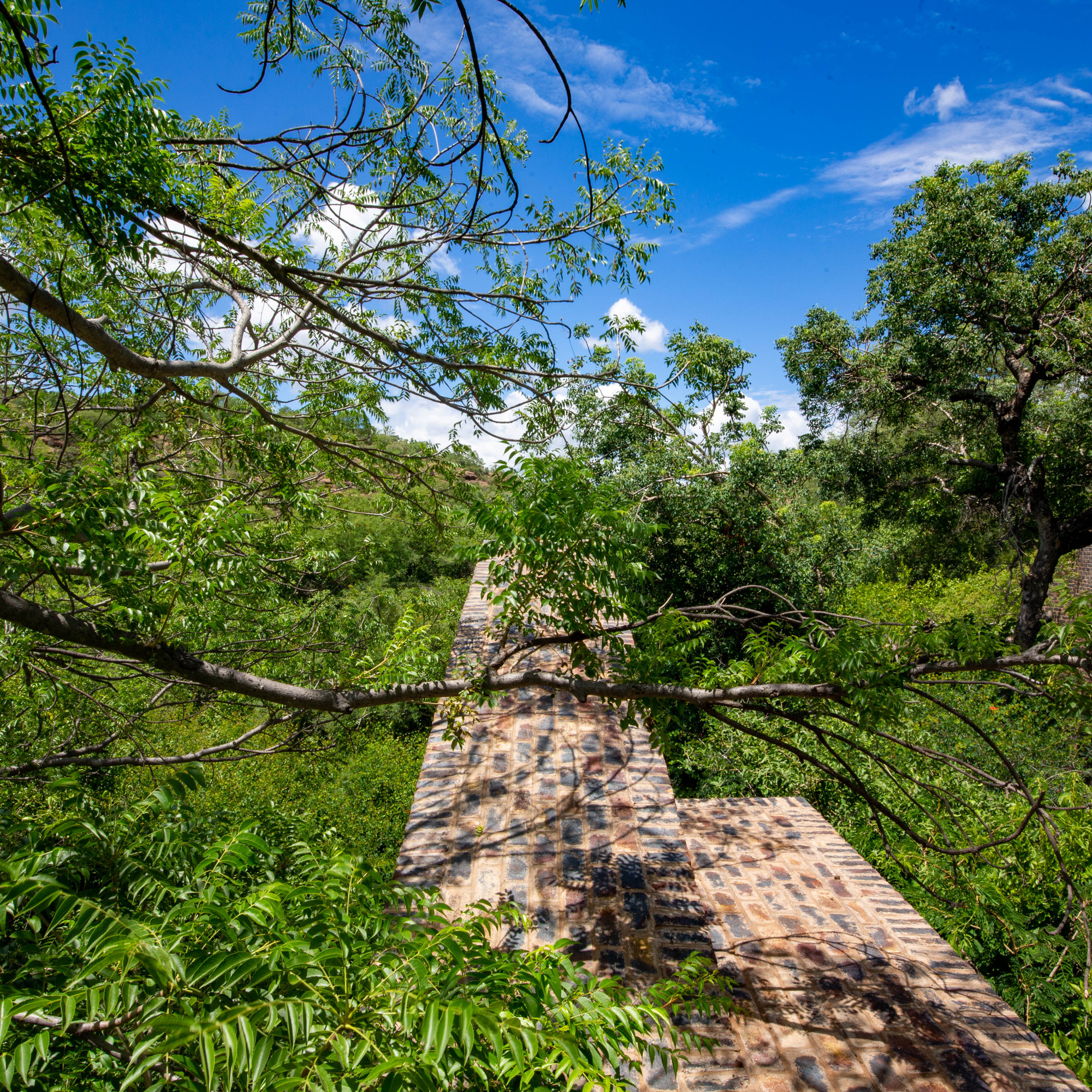 House of the Big Arch / Frankie Pappas-45