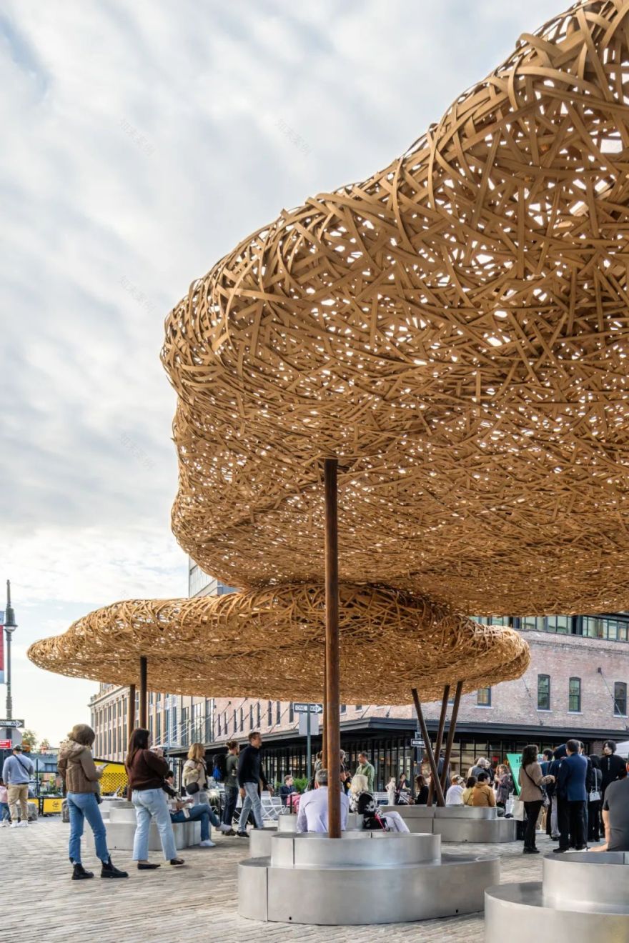 你以为竹子的极限和竹子真正的极限-60