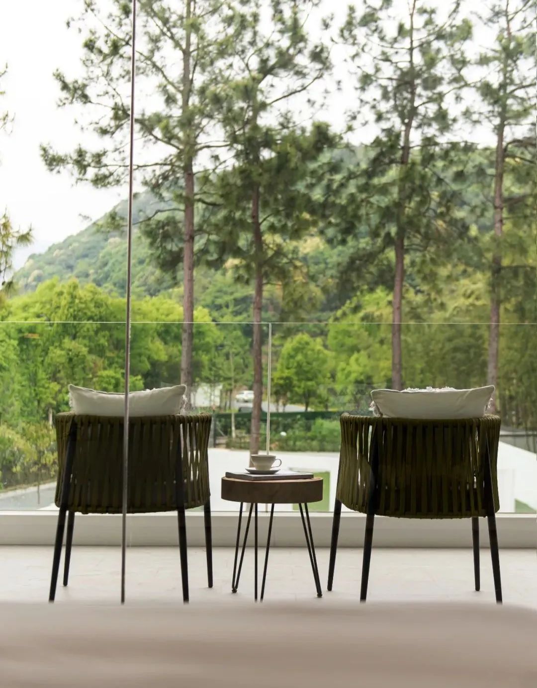 莫干山秘境杉林,尽享自然之美-111