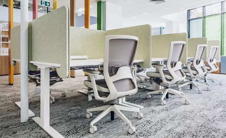 澳大利亚 TBS 慈善总部,彩虹色调打造活力空间-32