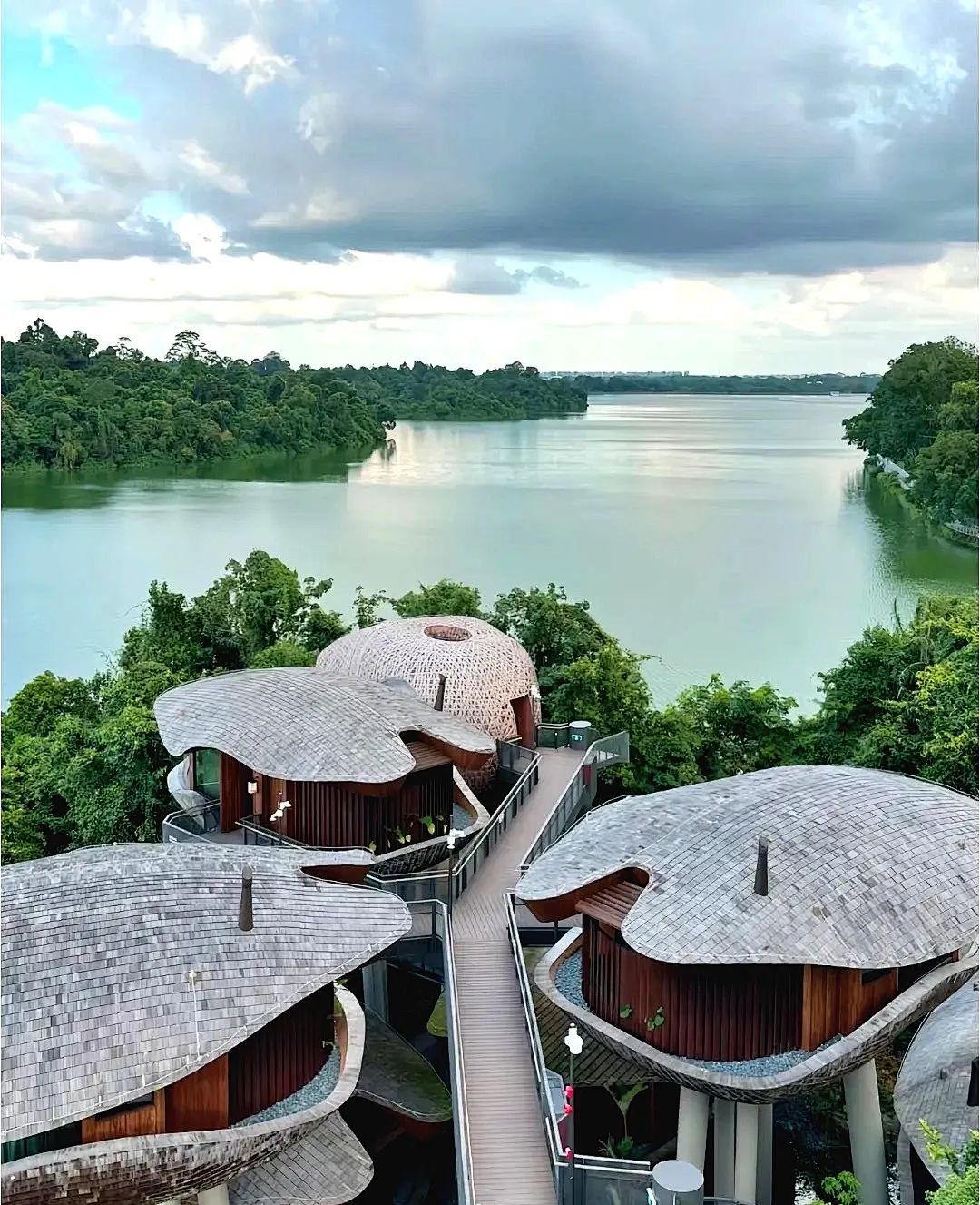 万态雨林悦榕庄丨遁入狮城繁华深处的秘境绿洲-0