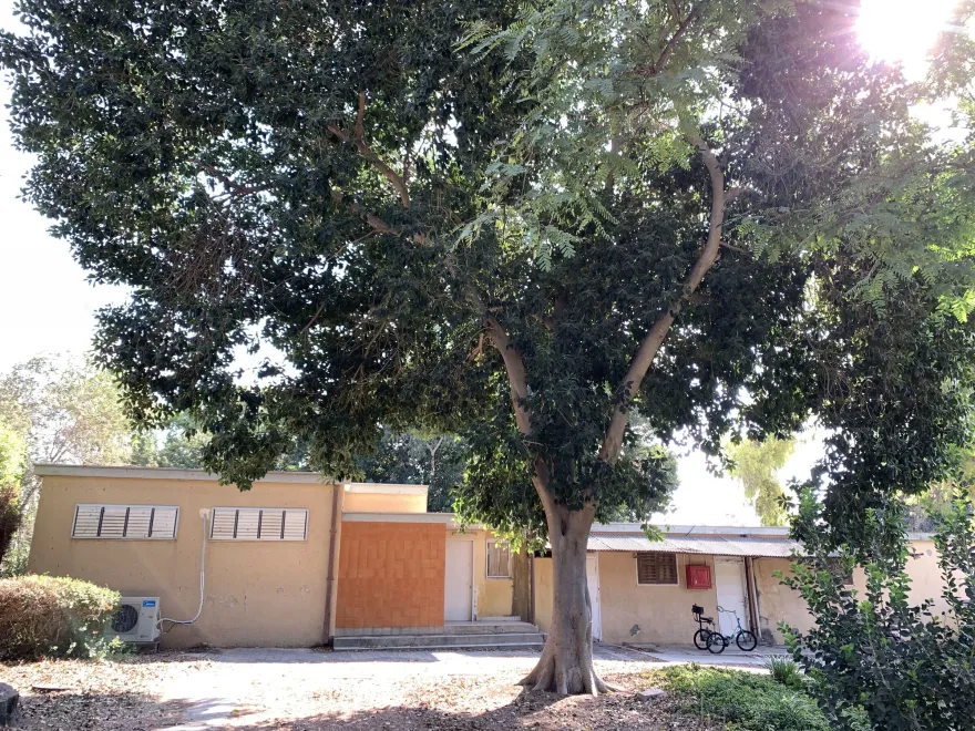 kibbutz Mizra 残疾人住所丨以色列丨Studio A3-61