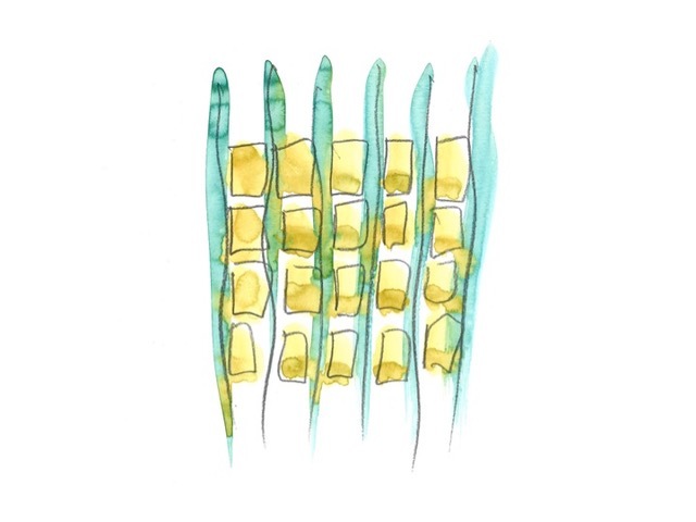 迪拜穆拉巴住宅-92