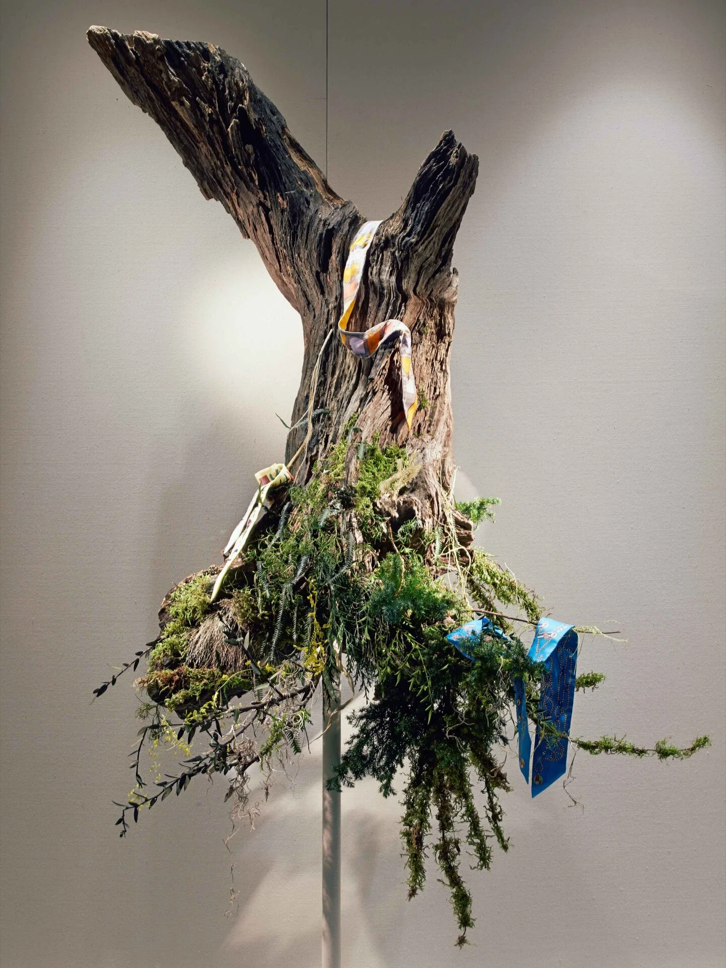 fUTUREMUSEUM - 質物霽畫 BOTANIPLAN VON LEE CHI  -5