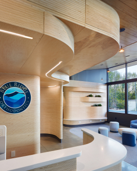 Blue Ridge Orthodontics 绿色疗愈空间