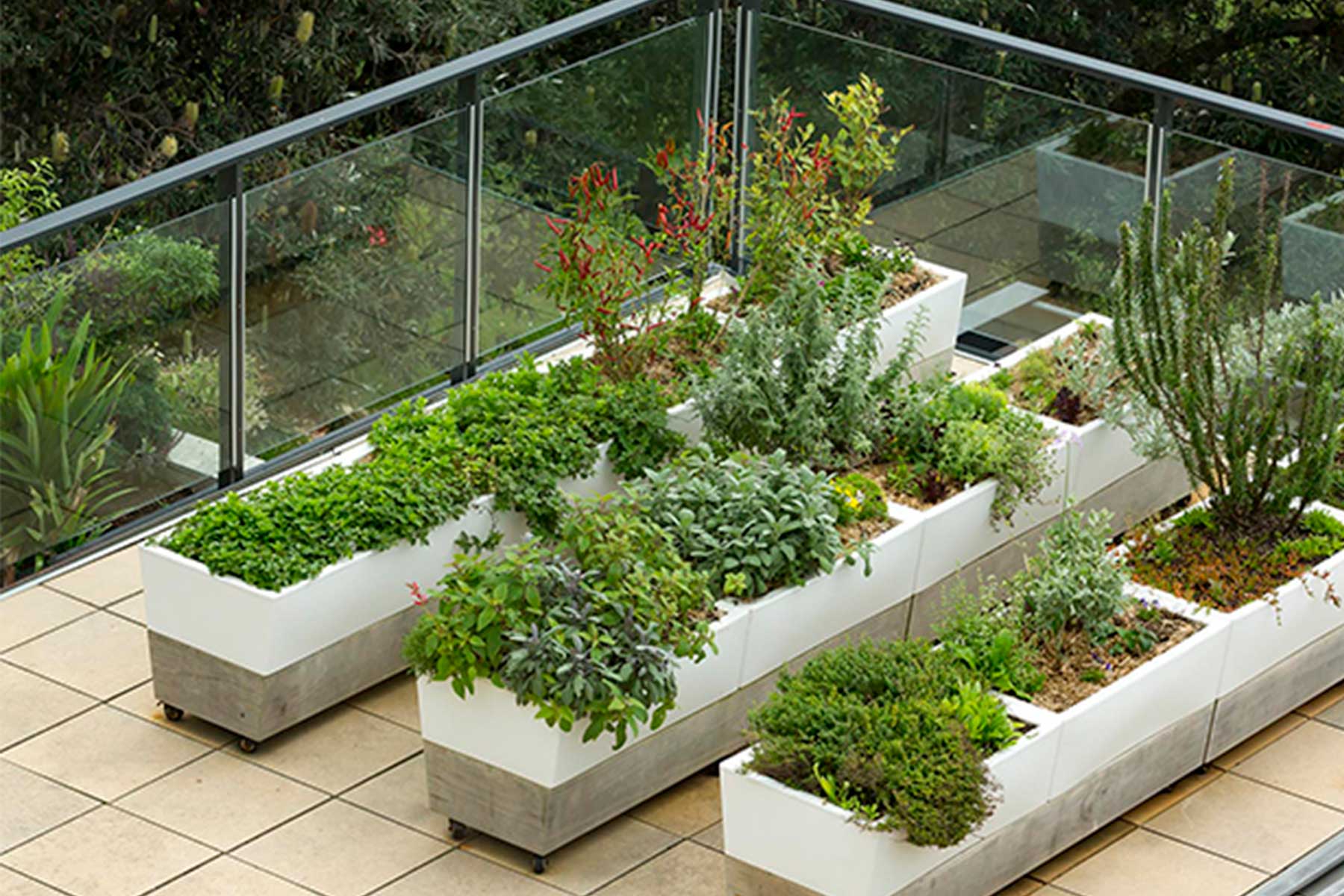 Good-Looking Planters — Adam Robinson Design-3