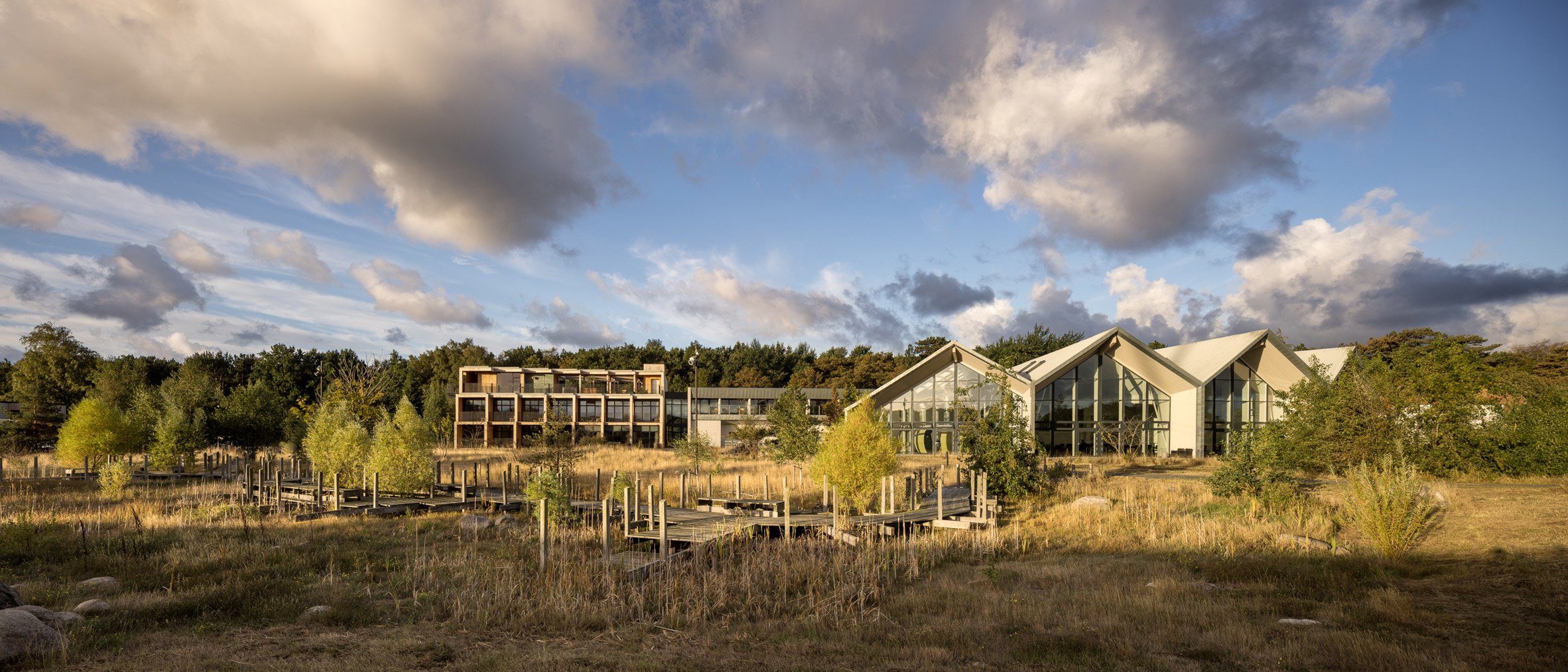 丹麦绿色解决方案酒店 2.0 | 模块化 CLT 框架和可持续设计-38