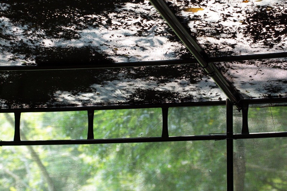 苗栗香格里拉乐园的生态奇观·勤美学森大-52