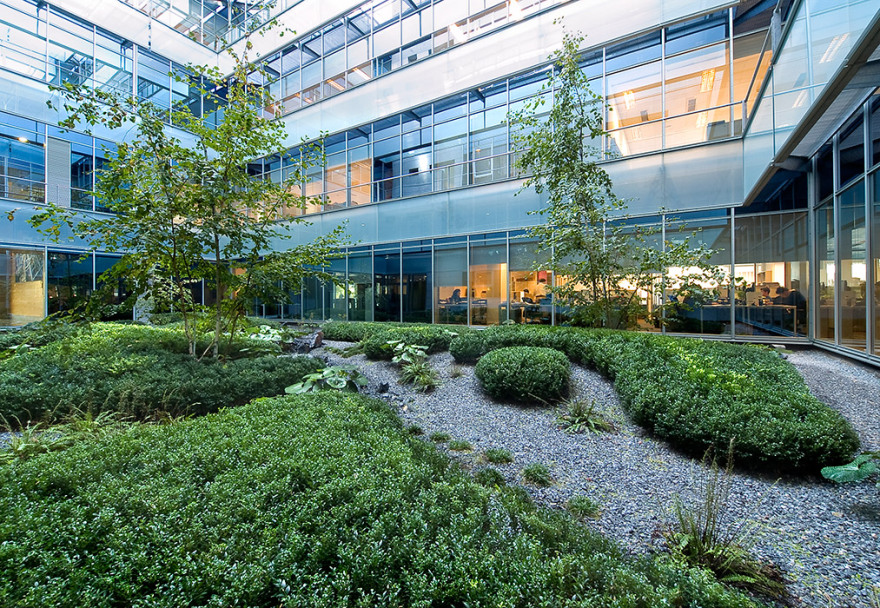 Madrid 办公大楼庭院花园 · 有机自然主义的设计实践-8