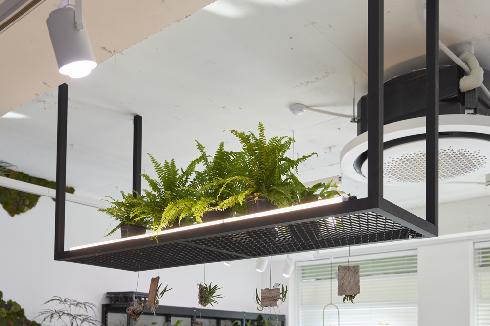 现代植物咖啡厅，30 平米空间里的绿色美学-16