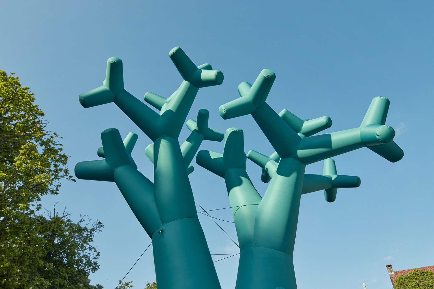 海牙2024BlowUP艺术节 Hofvijver漂浮花园丨荷兰海牙-38